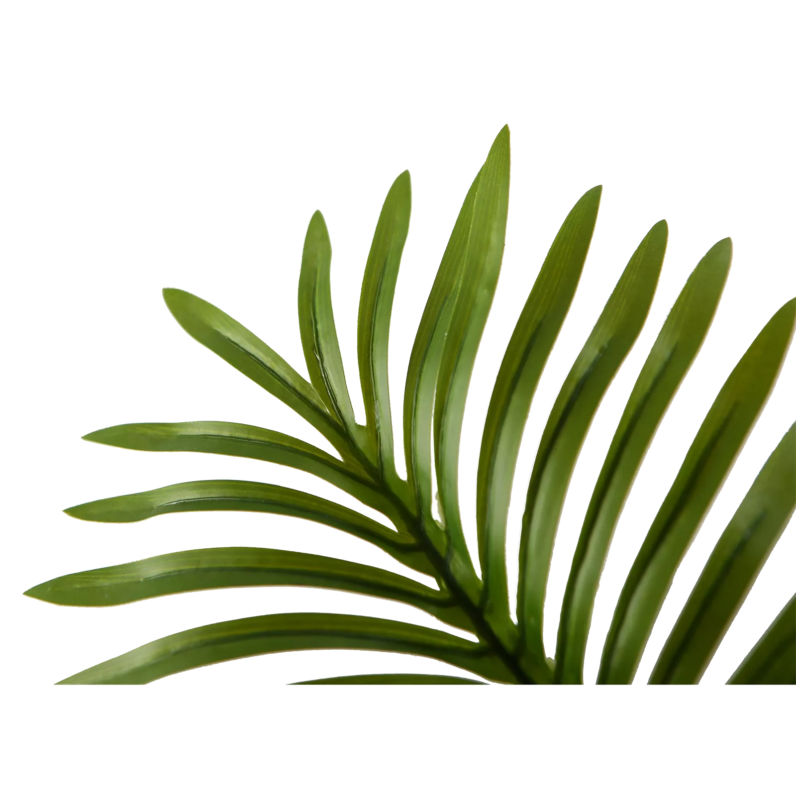 Kunstplant Areca Palm (80cm)