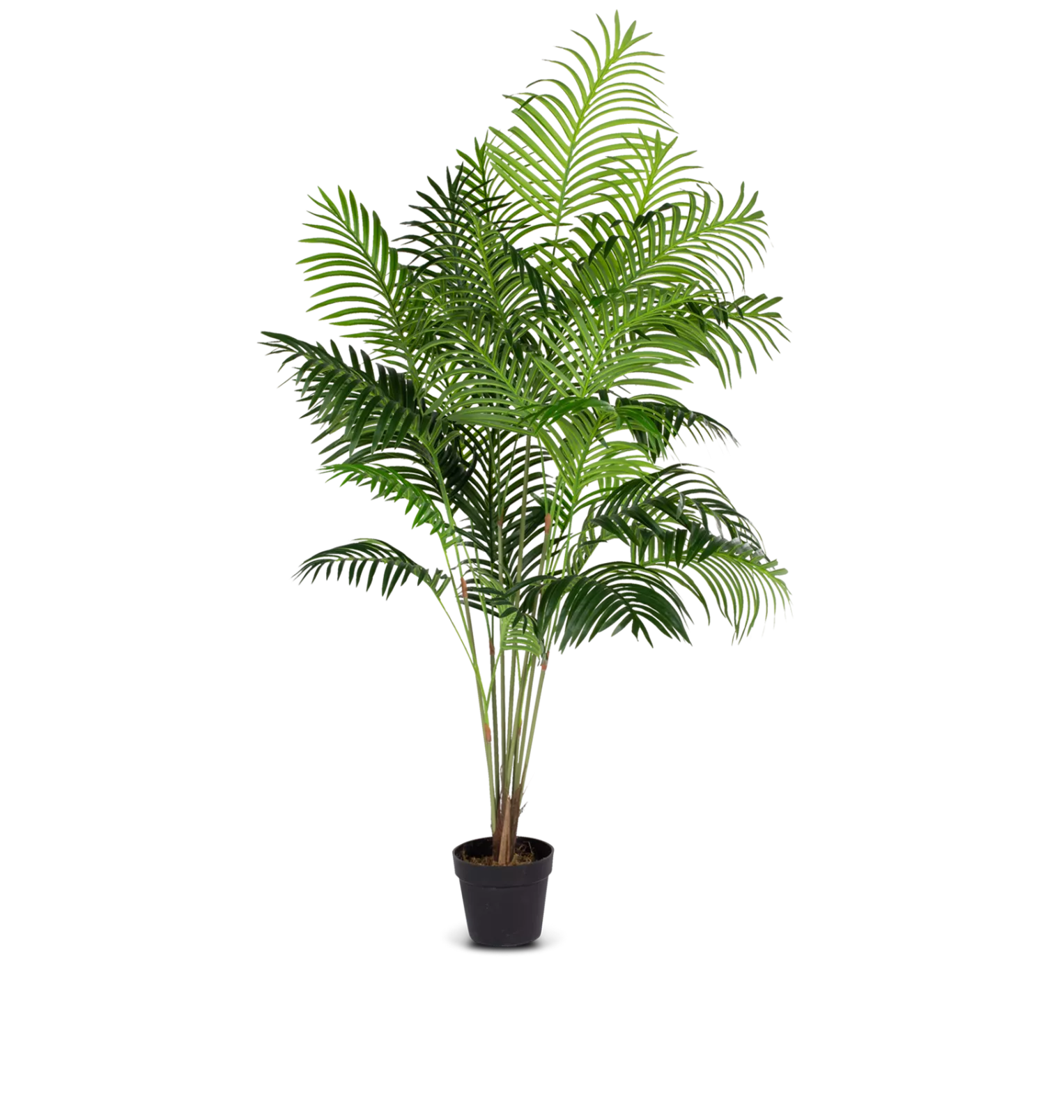 Kunstplant Areca Palm (180cm)