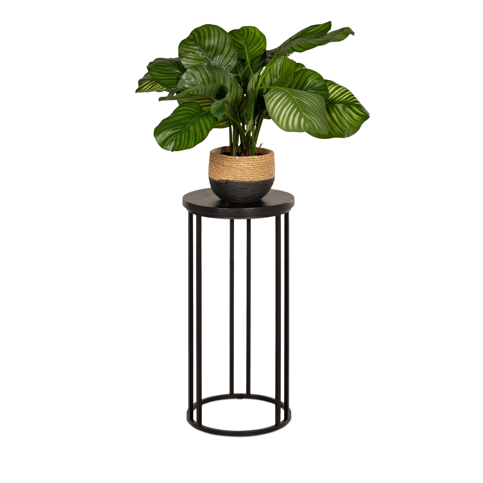Plantentafel Steelwood - Zwart