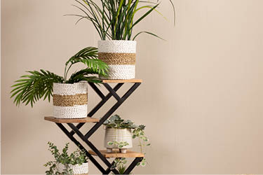 Houten plantentafel