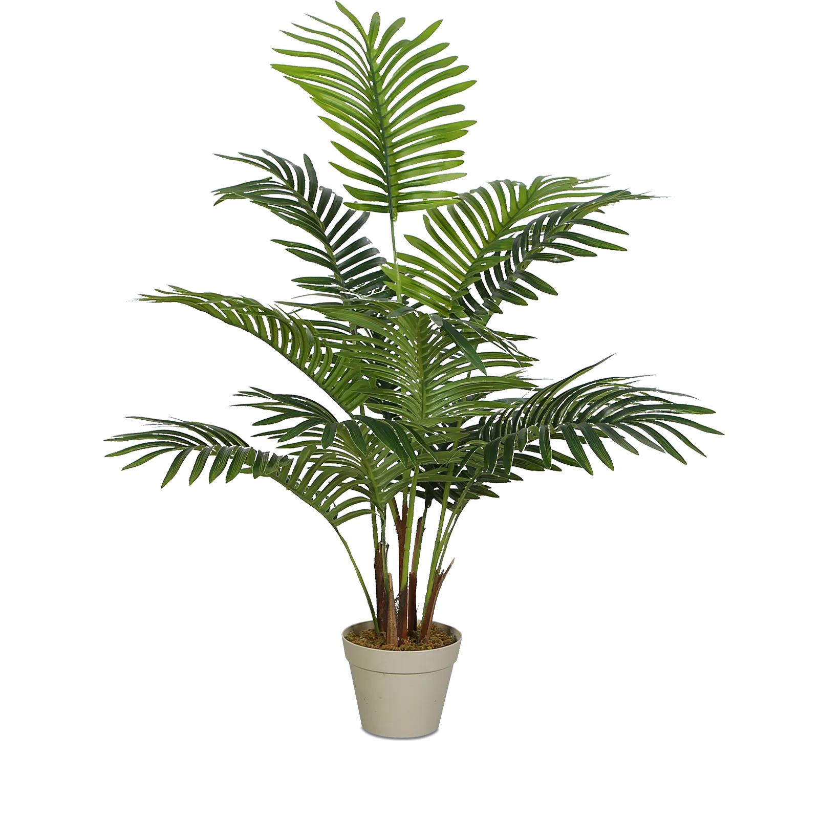 Kunstplant Areca Palm (80cm)