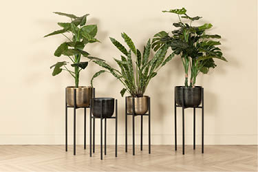 Plantentafel plantenzuil metaal zwart goud